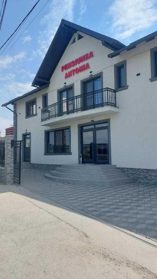 Pensiunea Antonia Sighetu Marmaţiei Εξωτερικό φωτογραφία