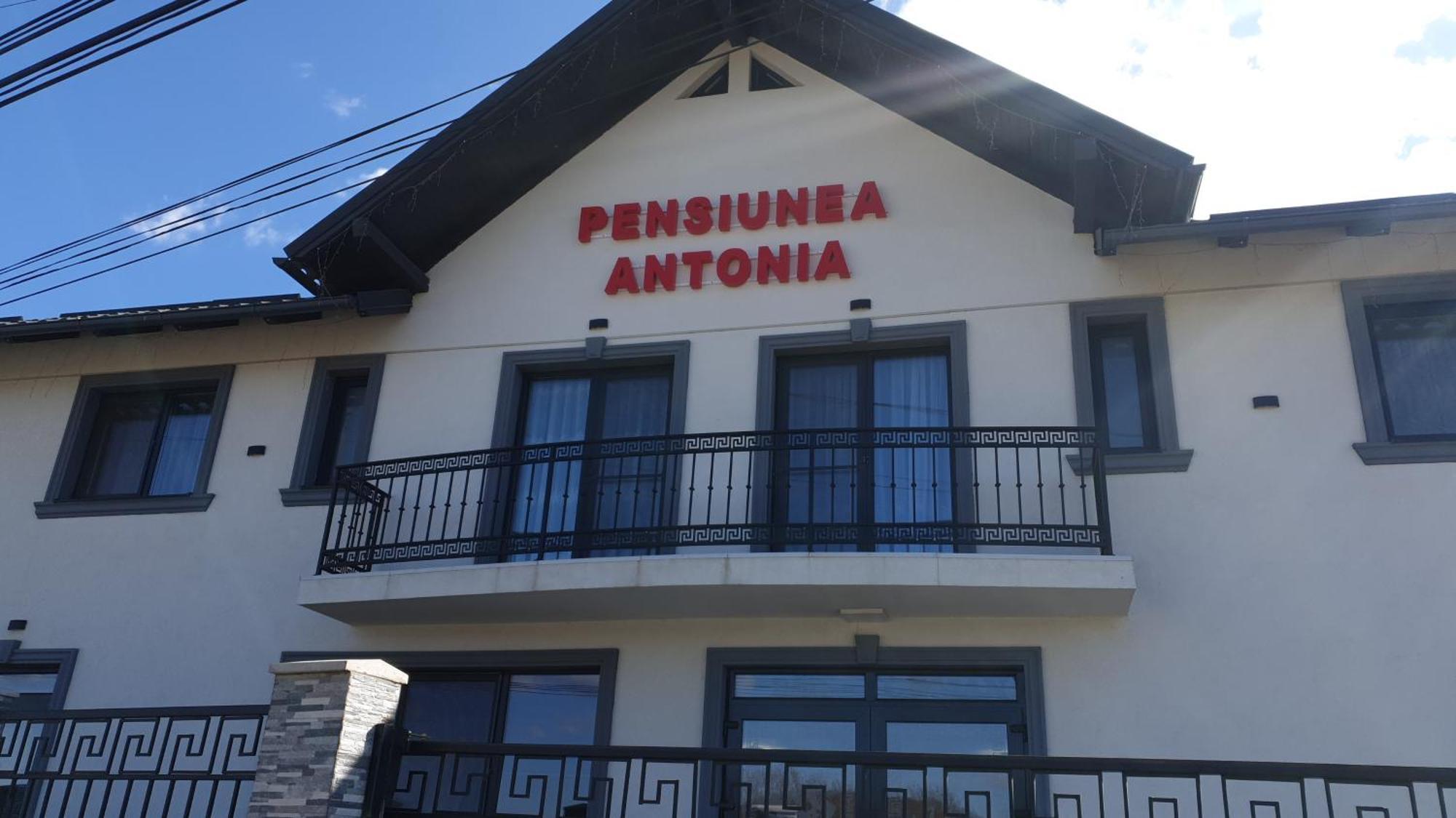Pensiunea Antonia Sighetu Marmaţiei Εξωτερικό φωτογραφία