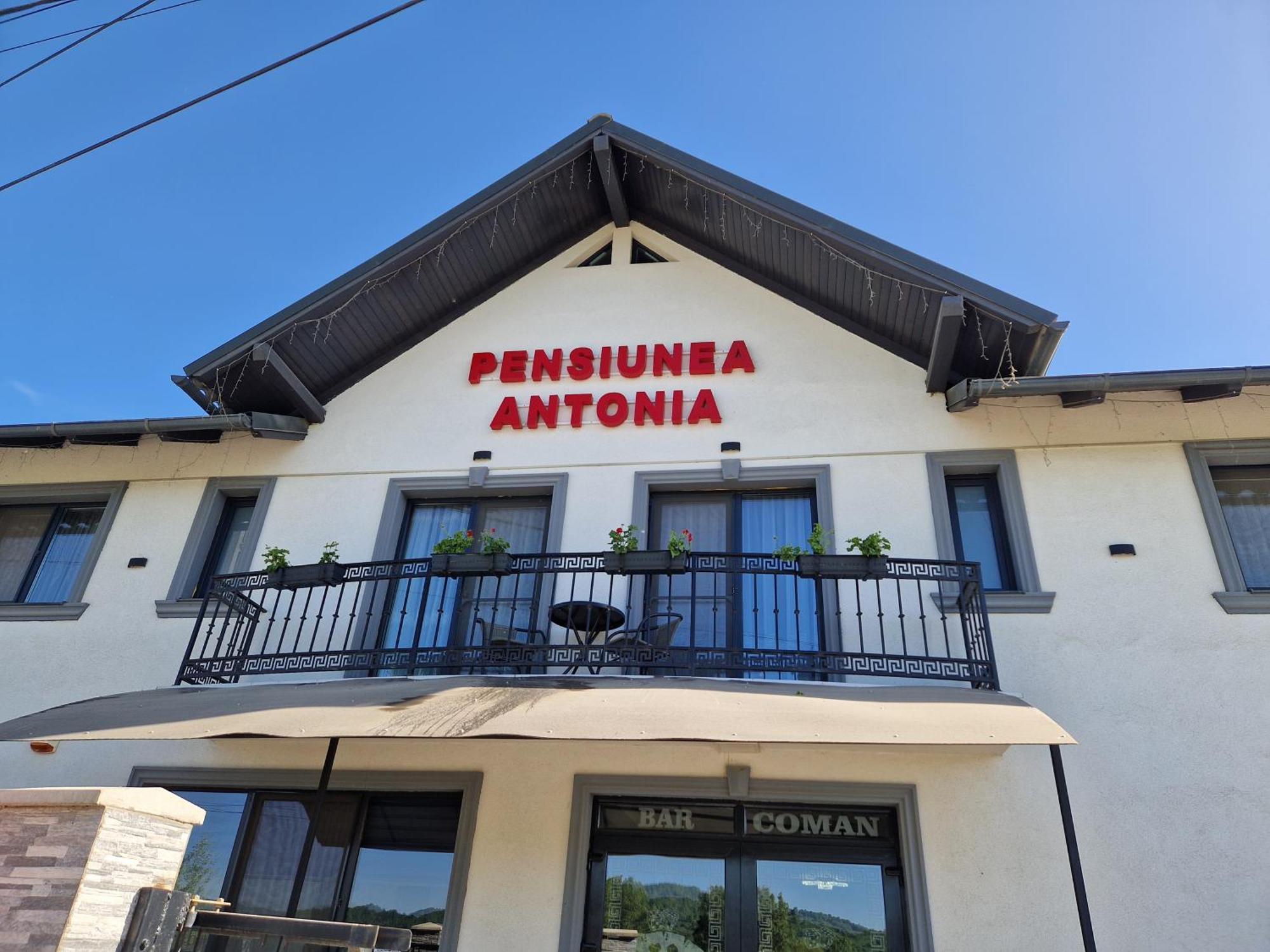 Pensiunea Antonia Sighetu Marmaţiei Δωμάτιο φωτογραφία